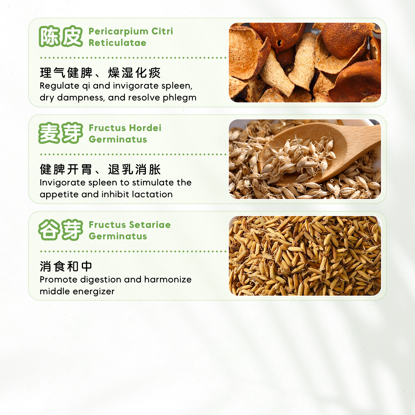 消化不良茶疗 STUFFED (10'S)