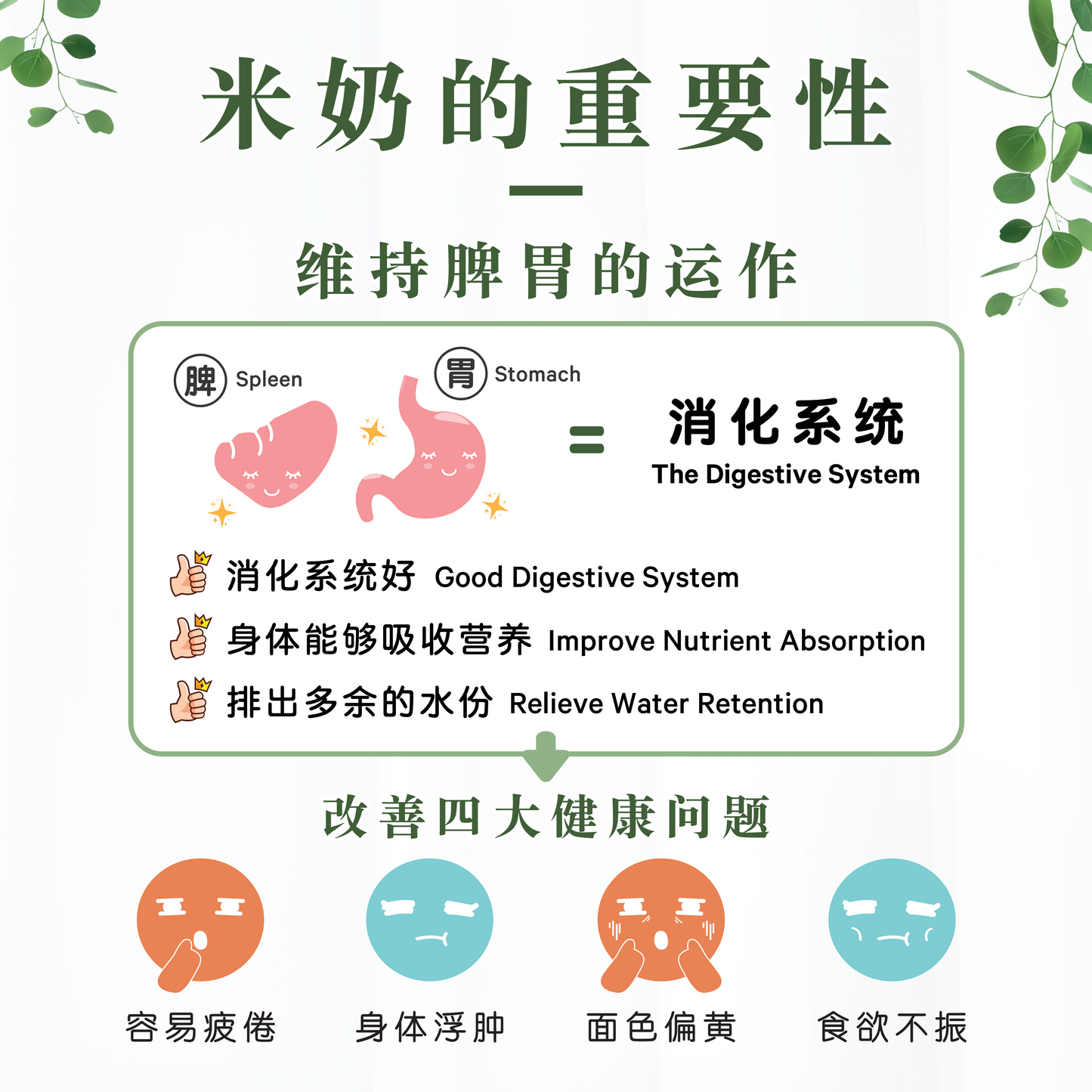 鳄梨米奶 AVOCADO RICE MILK (BOX)