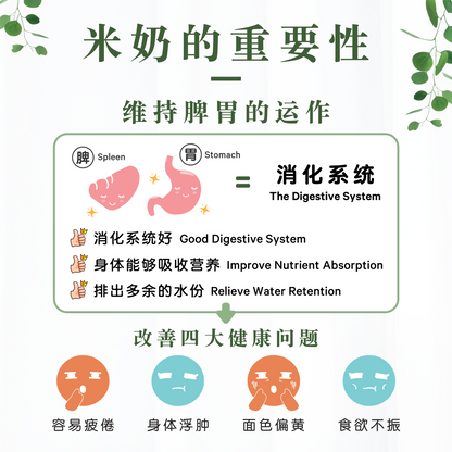 鳄梨米奶 AVOCADO RICE MILK (BOX)