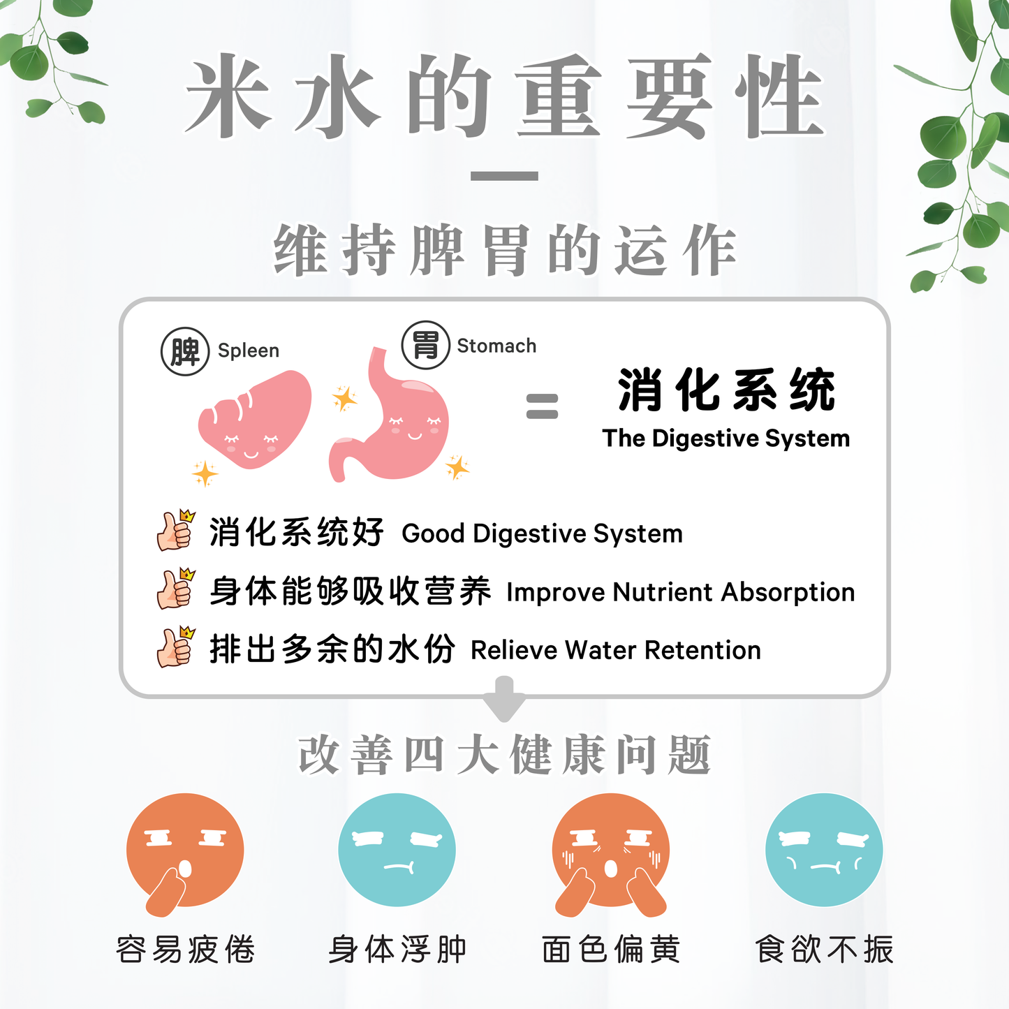 黑芝麻米水 BLACK SESAME RICE WATER (BOX)