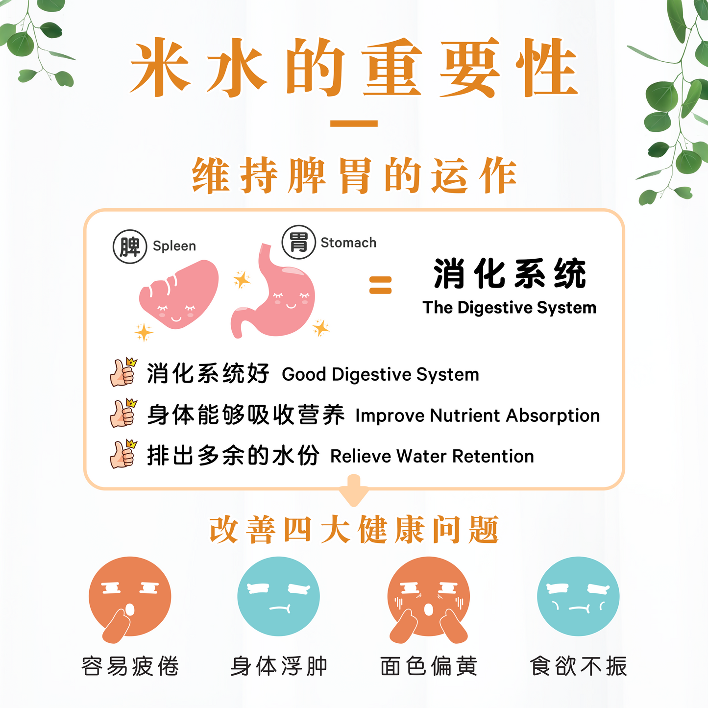 薏苡仁米水 BARLEY RICE WATER (BOX)