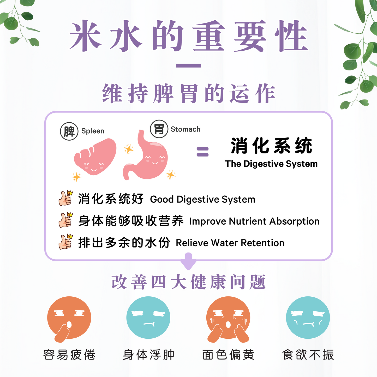 莓果米水 MIXBERRIES RICE WATER (BOX)