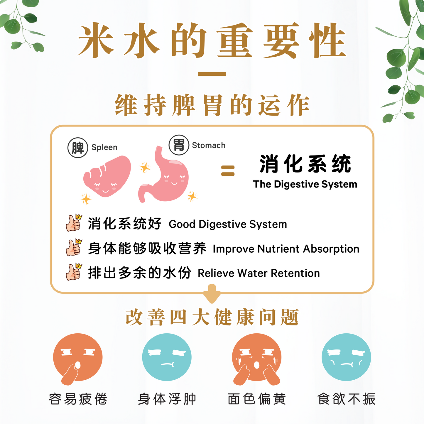 阿拉比卡米水 ARABICA RICE WATER (POUCH)