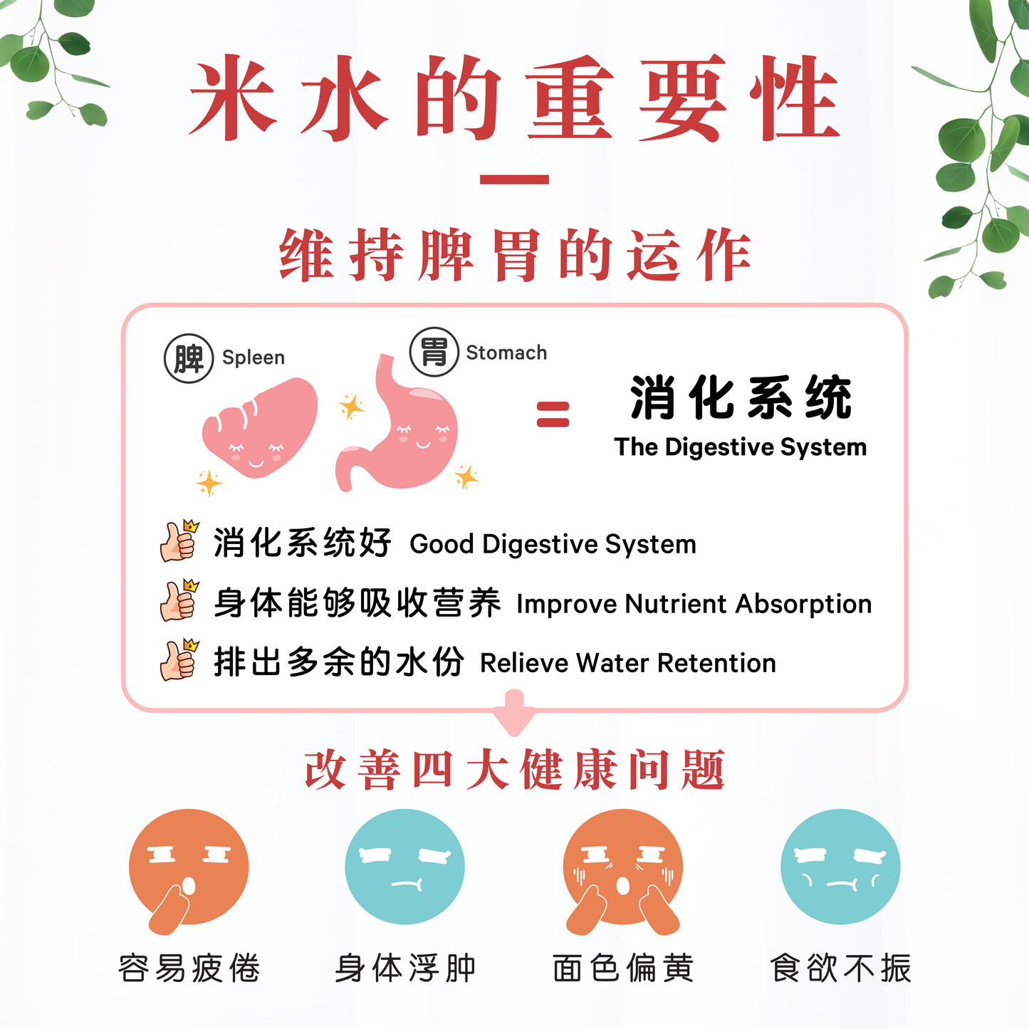 红豆米水 RED BEAN RICE WATER (BOX)