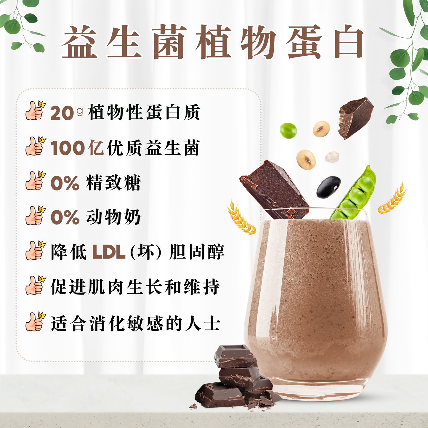 巧克力植物蛋白 CHOCOLATE PLANT PROTEIN (500 GRAMS)