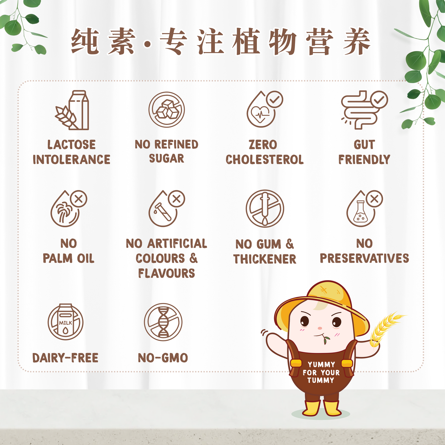 巧克力植物蛋白 CHOCOLATE PLANT PROTEIN (500 GRAMS)