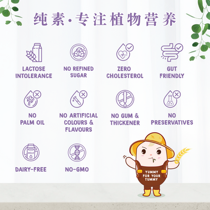 莓果米水 MIXBERRIES RICE WATER (BOX)