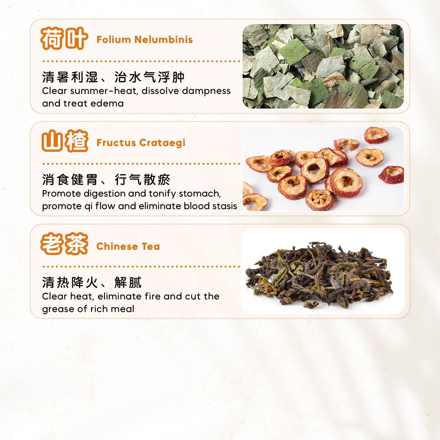 消脂解腻茶疗 CHUBBY (10'S)