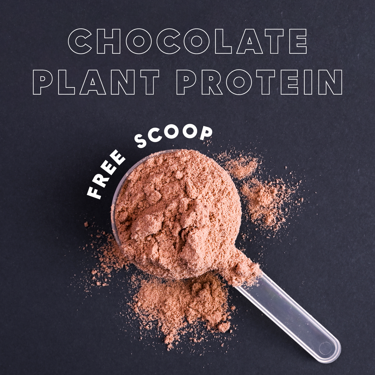 巧克力植物蛋白 CHOCOLATE PLANT PROTEIN (500 GRAMS)