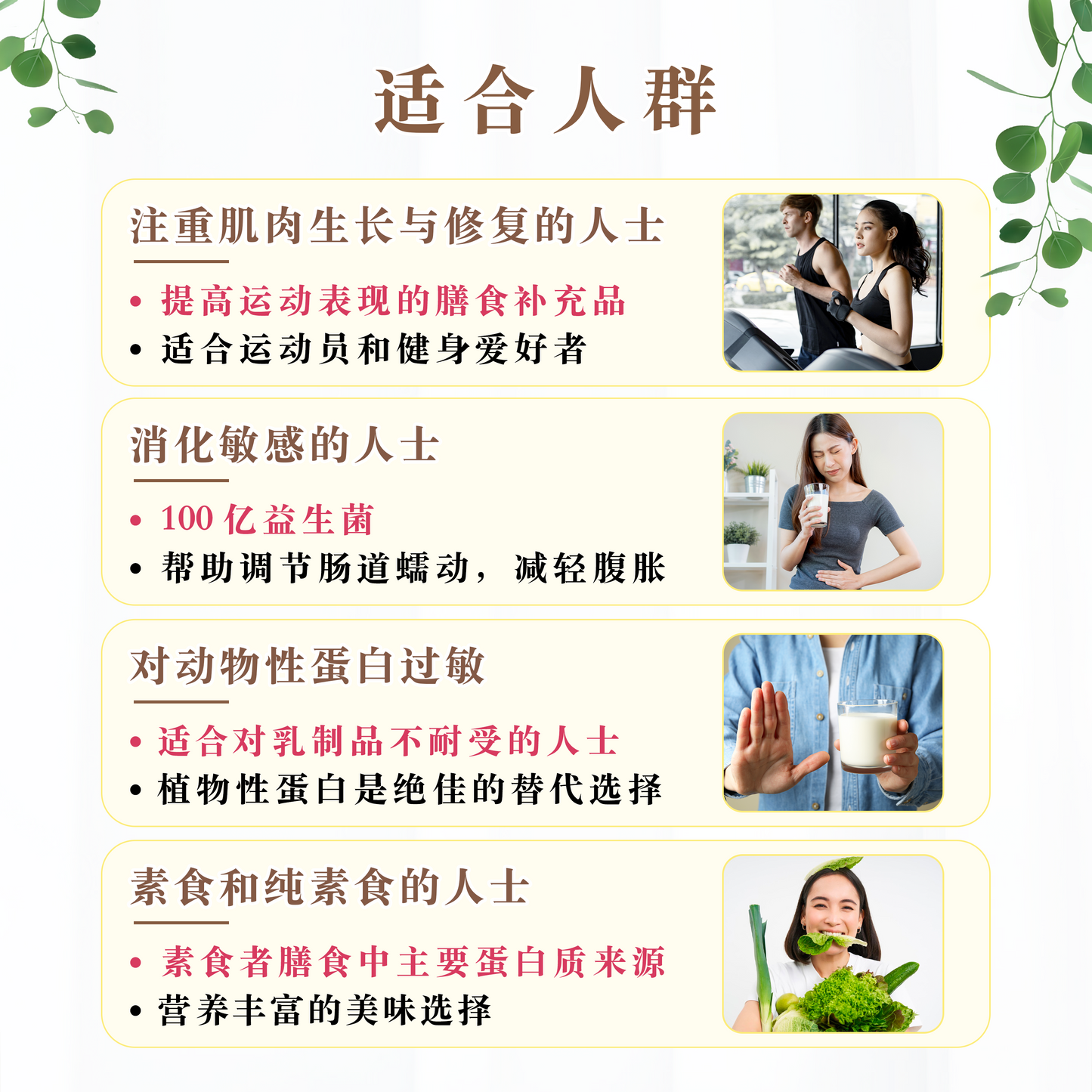 巧克力植物蛋白 CHOCOLATE PLANT PROTEIN (500 GRAMS)