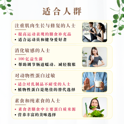 巧克力植物蛋白 CHOCOLATE PLANT PROTEIN (500 GRAMS)