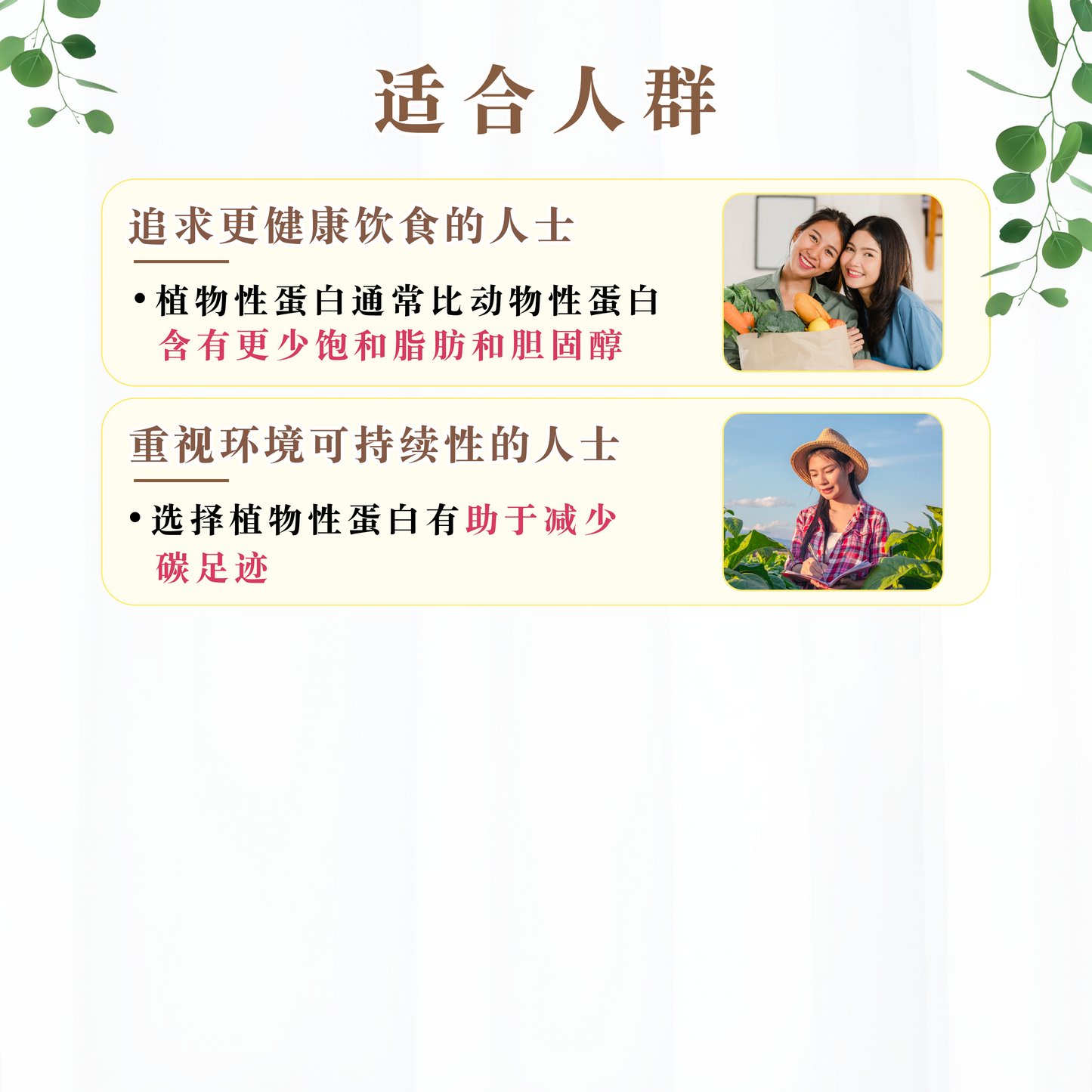 巧克力植物蛋白 CHOCOLATE PLANT PROTEIN (500 GRAMS)