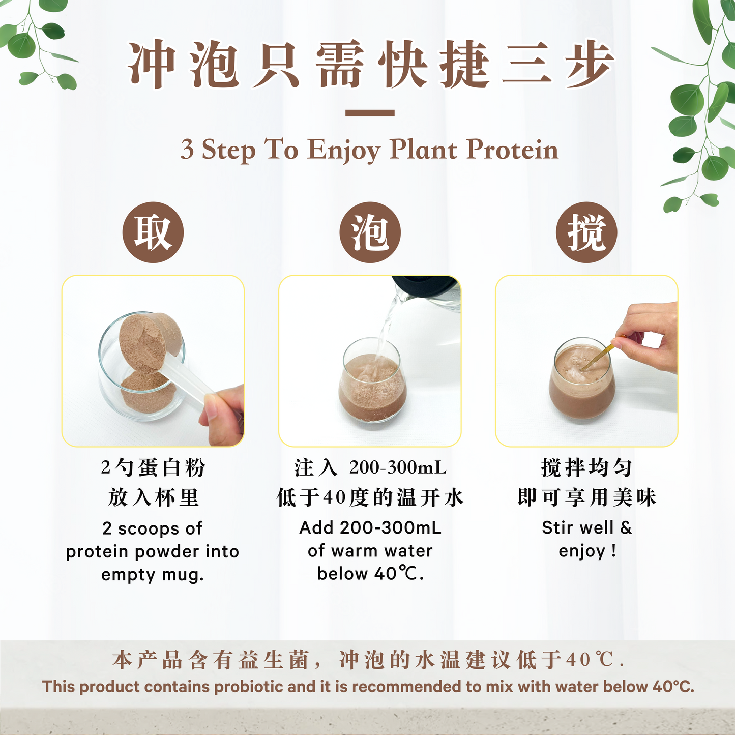 巧克力植物蛋白 CHOCOLATE PLANT PROTEIN (500 GRAMS)