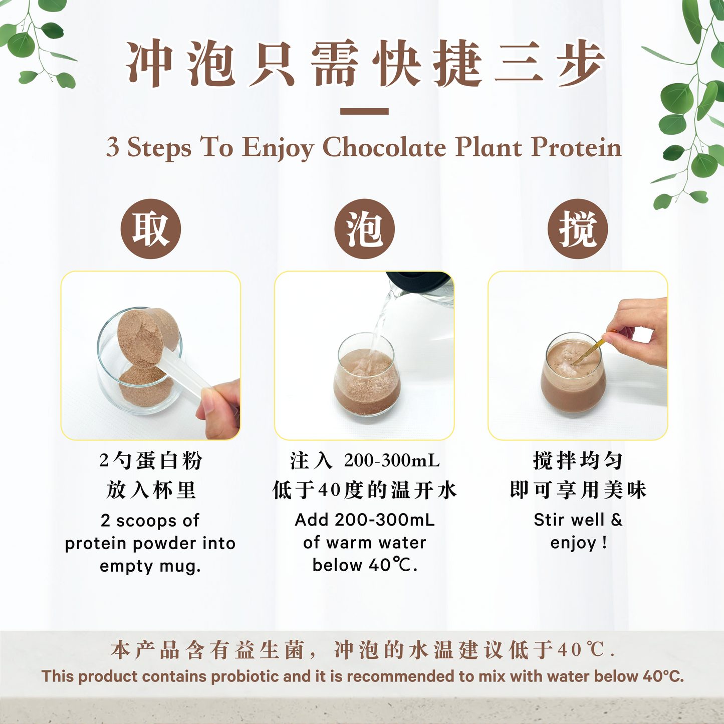 巧克力植物蛋白 CHOCOLATE PLANT PROTEIN (500 GRAMS)